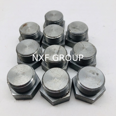 NXF ASTM UNSS31603 316L/00Cr17Ni14Mo2/1.4404 DN 15-1200 Class150-Class2500 Stainless Steel 316L Forging Threaded Hex Head Plug