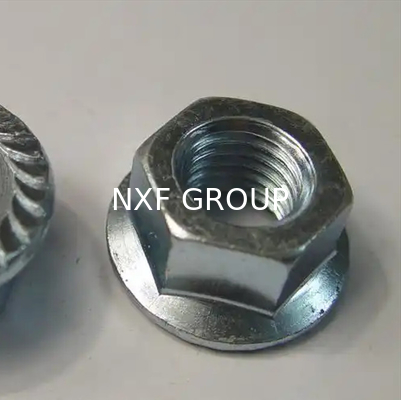 NXF ASTM UNS S31653 316LN/00Cr17Ni13Mo2N/s31653 M3-M16 Length0.4-85mm Stainless Steel 316LN Hexagonal Flange Nut