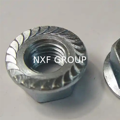 NXF ASTM UNS S31653 316LN/00Cr17Ni13Mo2N/s31653 M3-M16 Length0.4-85mm Stainless Steel 316LN Hexagonal Flange Nut