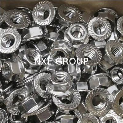 NXF ASTM UNS S31653 316LN/00Cr17Ni13Mo2N/s31653 M3-M16 Length0.4-85mm Stainless Steel 316LN Hexagonal Flange Nut