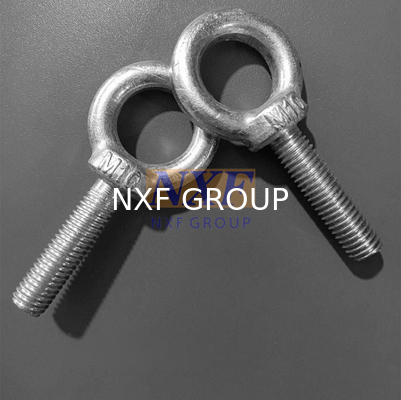 NXF ASTM JIS EN ANSI/ASME B18.21.1 316/0Cr17Ni12Mo2/1.4401M8 Aisi 316 Stainless Steel 316 Plain Eye Bolt