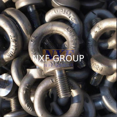 NXF ASTM JIS EN ANSI/ASME B18.21.1 316/0Cr17Ni12Mo2/1.4401M8 Aisi 316 Stainless Steel 316 Plain Eye Bolt