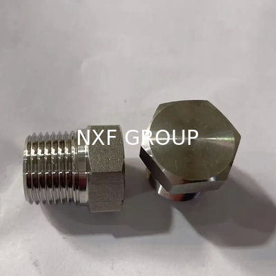 NXF ASTM JIS EN 316Ti/0Cr18Ni12Mo2Ti DN15-1200  Class 150-2500 Stainless Steel 316Ti  NPT Threaded Hexagonal Head Plug