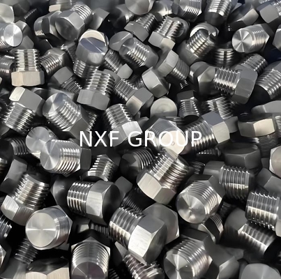 NXF ASTM JIS EN 316Ti/0Cr18Ni12Mo2Ti DN15-1200  Class 150-2500 Stainless Steel 316Ti  NPT Threaded Hexagonal Head Plug