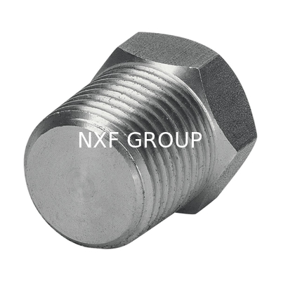 NXF ASTM JIS EN 316Ti/0Cr18Ni12Mo2Ti DN15-1200  Class 150-2500 Stainless Steel 316Ti  NPT Threaded Hexagonal Head Plug