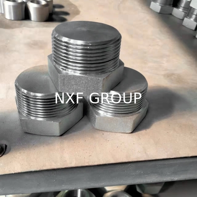 NXF ASTM JIS EN 316Ti/0Cr18Ni12Mo2Ti DN15-1200  Class 150-2500 Stainless Steel 316Ti  NPT Threaded Hexagonal Head Plug