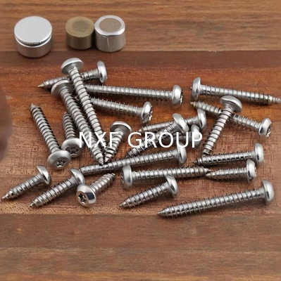 NXF ASTM DIN JIS Stainless Steel 316/0Cr17Ni12Mo2/1.4401 T20 60mm Plain Pan Head Screw Plum Blossom Head Threaded Screw