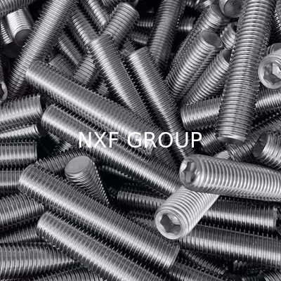 NXF ASTM DIN JIS 316/0Cr17Ni12Mo2/1.4401 M6 12mm Stainless Steel 316 Headless Screws Flat Point Set Screw