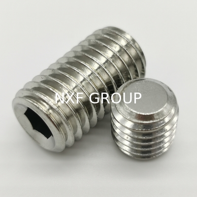 NXF ASTM DIN JIS 316/0Cr17Ni12Mo2/1.4401 M6 12mm Stainless Steel 316 Headless Screws Flat Point Set Screw