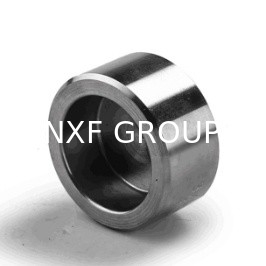 NXF UNS S31008 ASTM A403 310S/0Cr25Ni20/1.4845 DN15-1200 Class3000-9000 310S Stainless Steel Socket Welding Cap