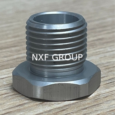 NXF UNS S31008 ASTM A403 310S/0Cr25Ni20/1.4845 DN6-100 Class3000-9000 310S SS THD Square/Hex Head Plug and Round Head Bushing