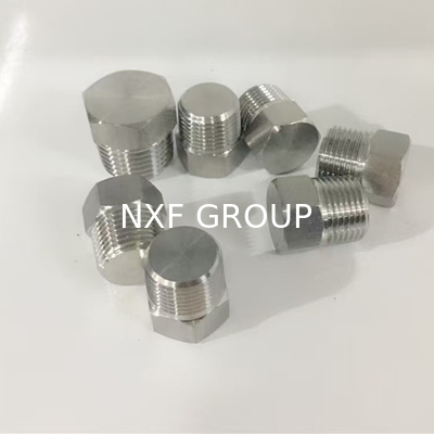 NXF UNS S31008 ASTM A403 310S/0Cr25Ni20/1.4845 DN6-100 Class3000-9000 310S SS THD Square/Hex Head Plug and Round Head Bushing