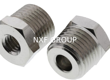 NXF UNS S31008 ASTM A403 310S/0Cr25Ni20/1.4845 DN6-100 Class3000-9000 310S High Pressure Stainless Steel Threaded Bushing