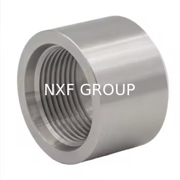 NXF ASTM B127 MONEL 400 Alloy/UNS N04400 DN15-1200  Class 3000-6000 Nickel Alloy 400 Forging High Pressure Threaded Cap
