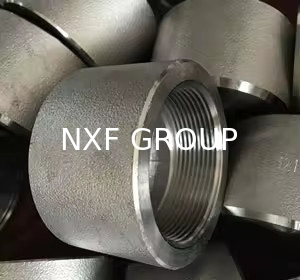 NXF ASTM B127 MONEL 400 Alloy/UNS N04400 DN15-1200  Class 3000-6000 Nickel Alloy 400 Forging High Pressure Threaded Cap