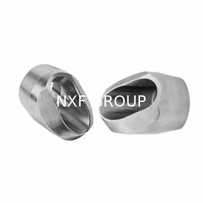 NXF UNS S31008 ASTM A403 310S/0Cr25Ni20/1.4845 DN6-100 Class3000-9000 310S SS SW and THD Latrolet and Elbolet